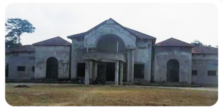 剛果(布)伊豐度總統(tǒng)行宮項目1#主樓鑒定加固